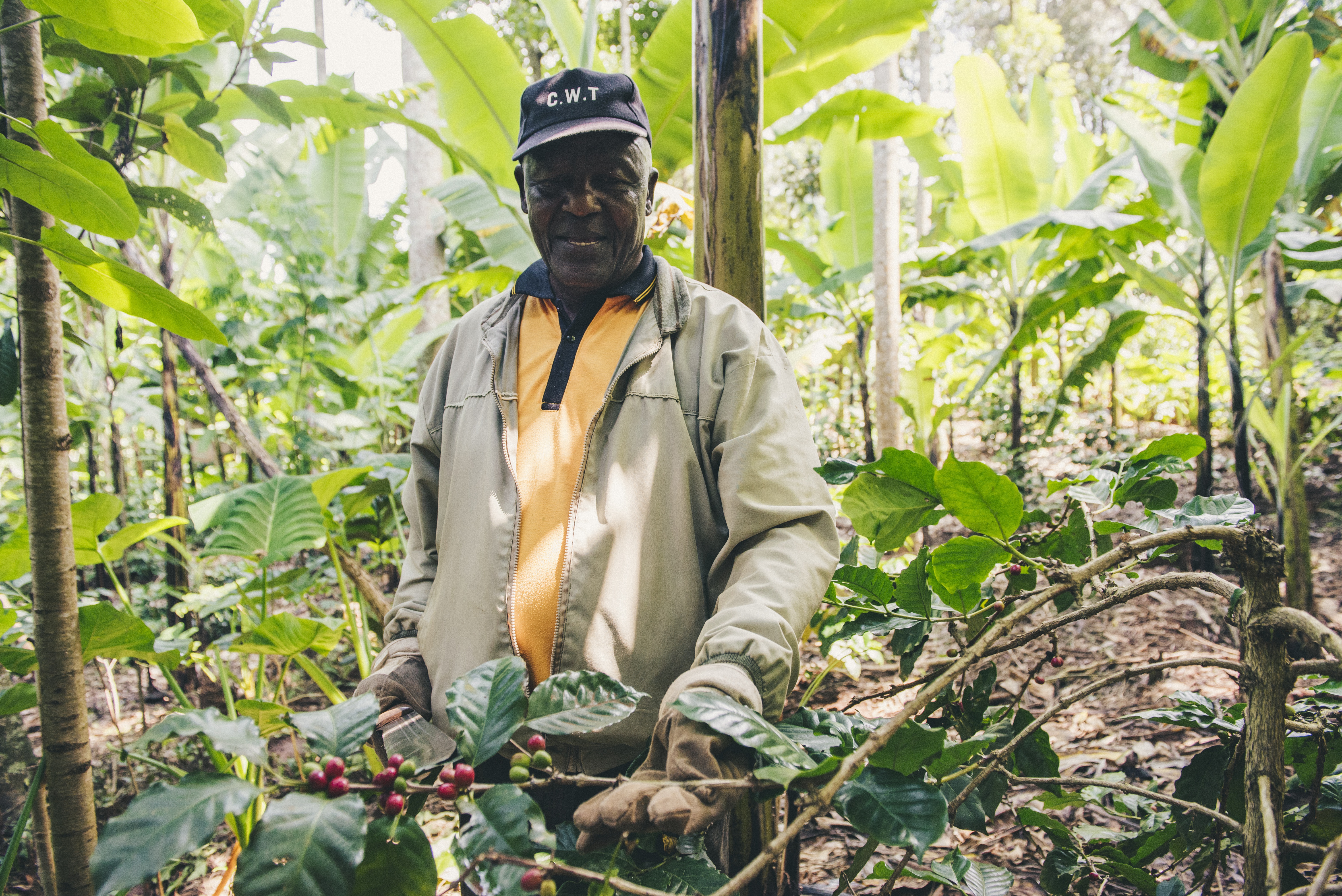 Valorisation des acteurs de la filière agricole